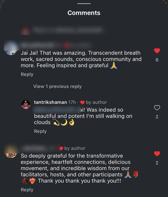 Screenshot: Instagram comments, weekend immersion